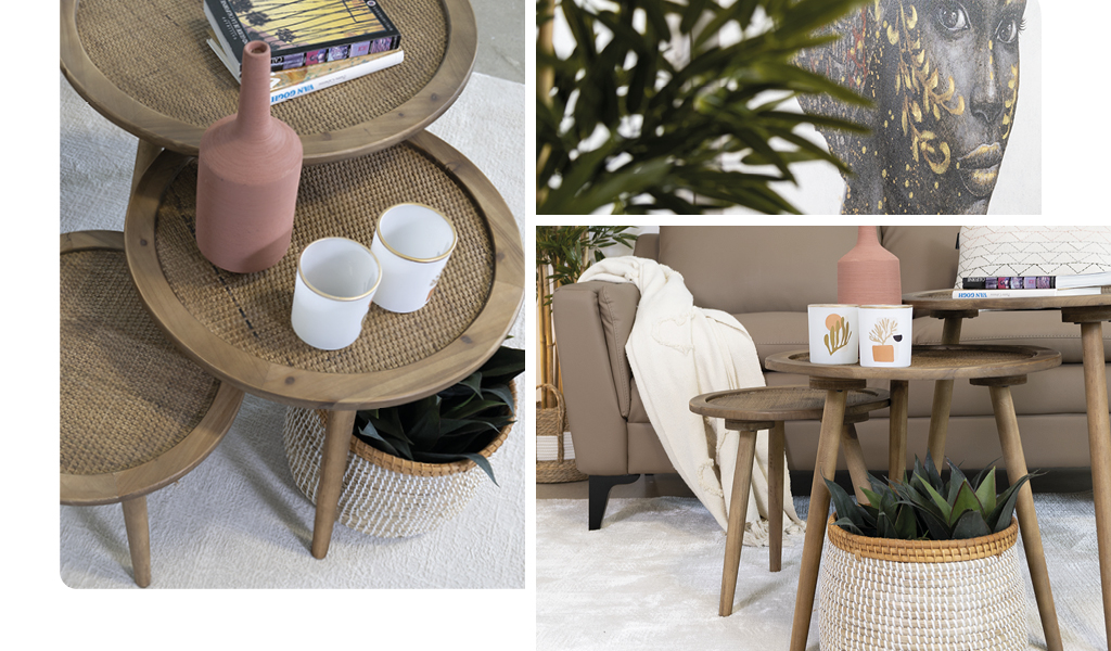 bouvreuil-2022-ete-brun